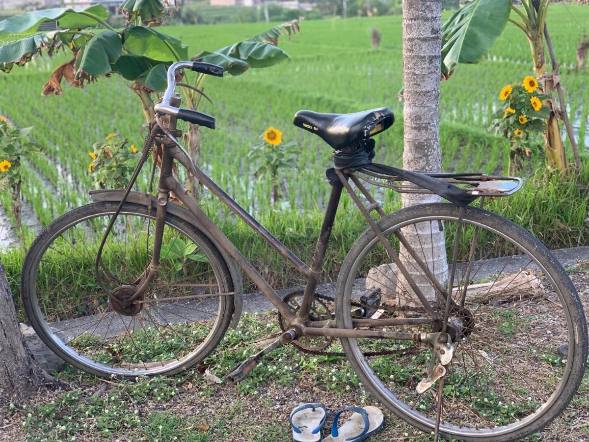 Villa Padi Canggu Εξωτερικό φωτογραφία