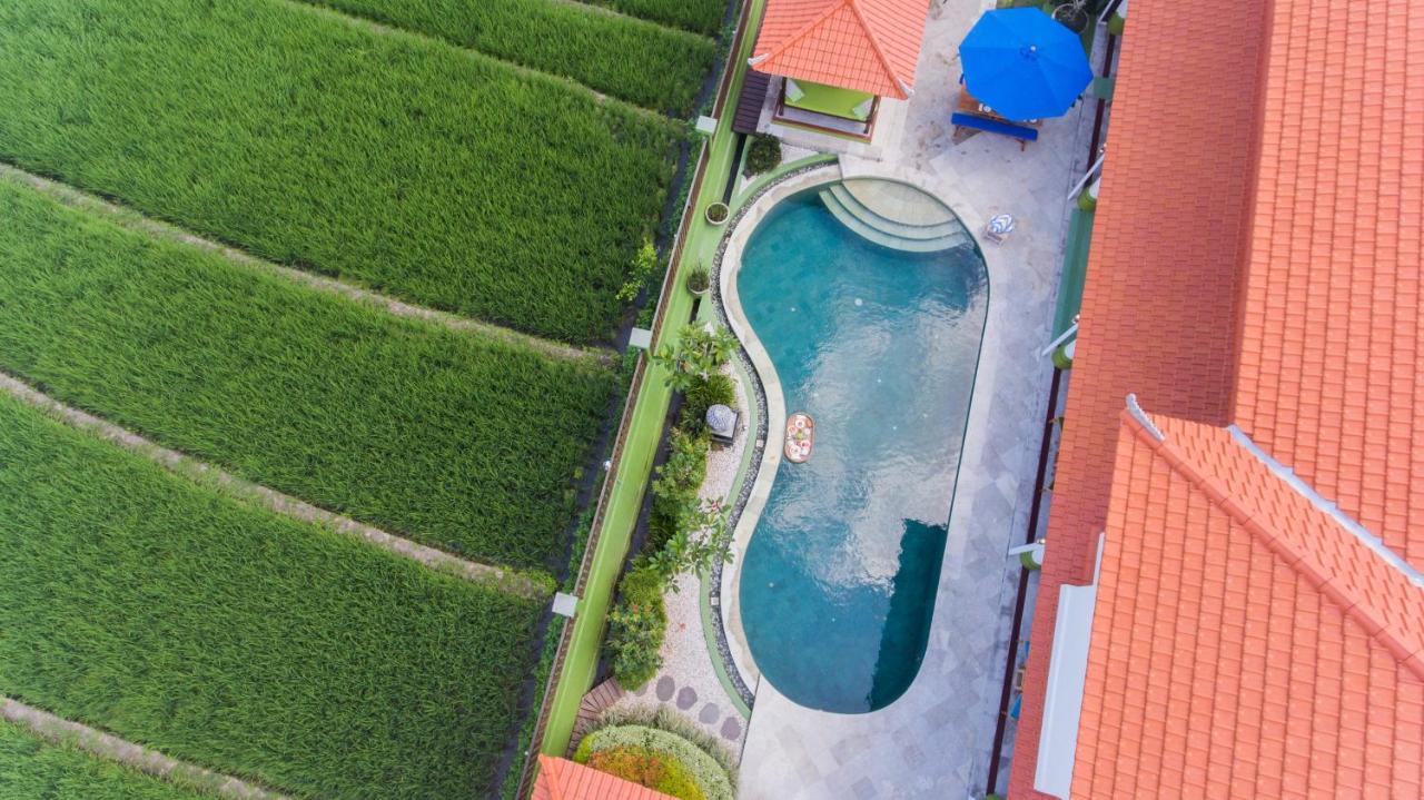 Villa Padi Canggu Εξωτερικό φωτογραφία