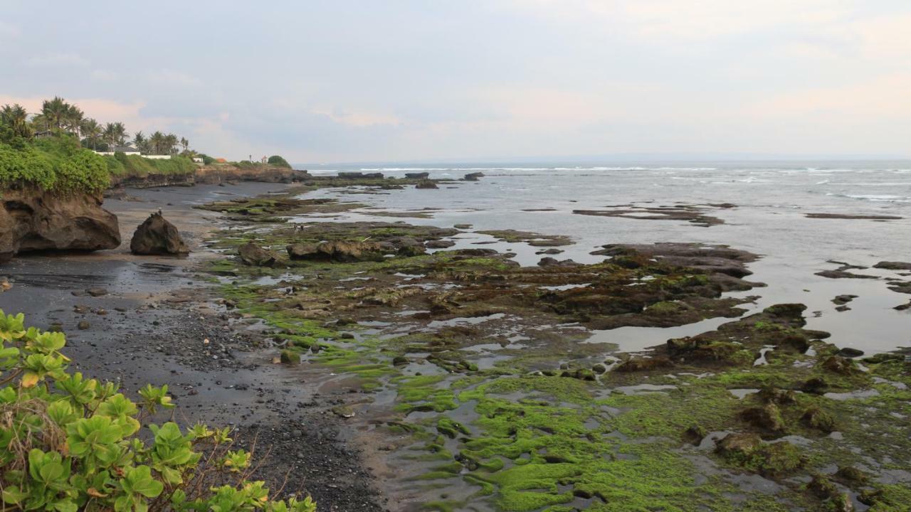 Villa Padi Canggu Εξωτερικό φωτογραφία