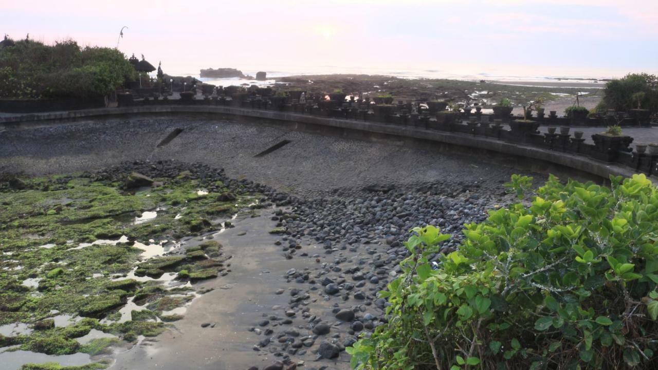 Villa Padi Canggu Εξωτερικό φωτογραφία